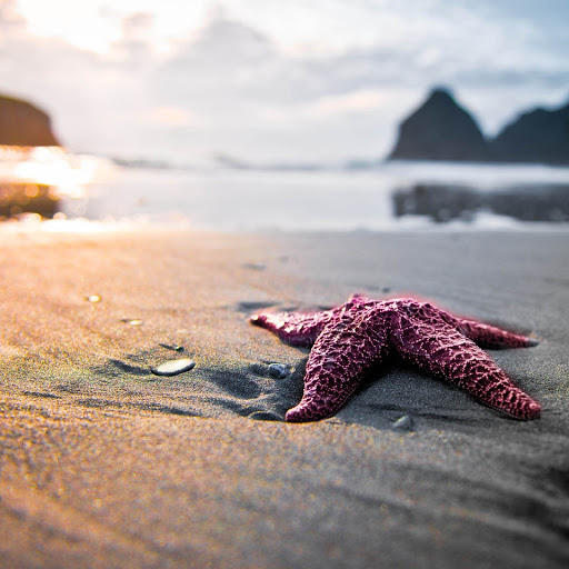 Hd-151792-ascw151792