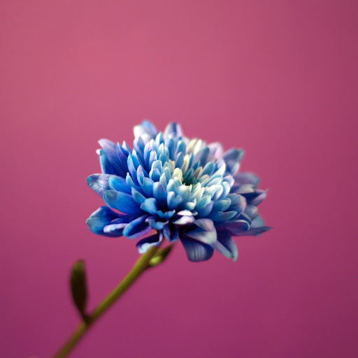 Hd-177663-ascw177663