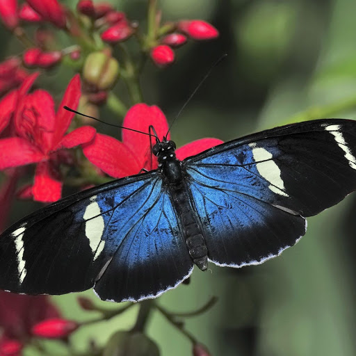 Hd-147177-ascw147177