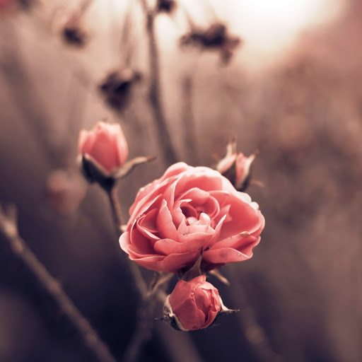 Hd-164308-ascw164308