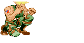Guile_crouch_roundhouse
