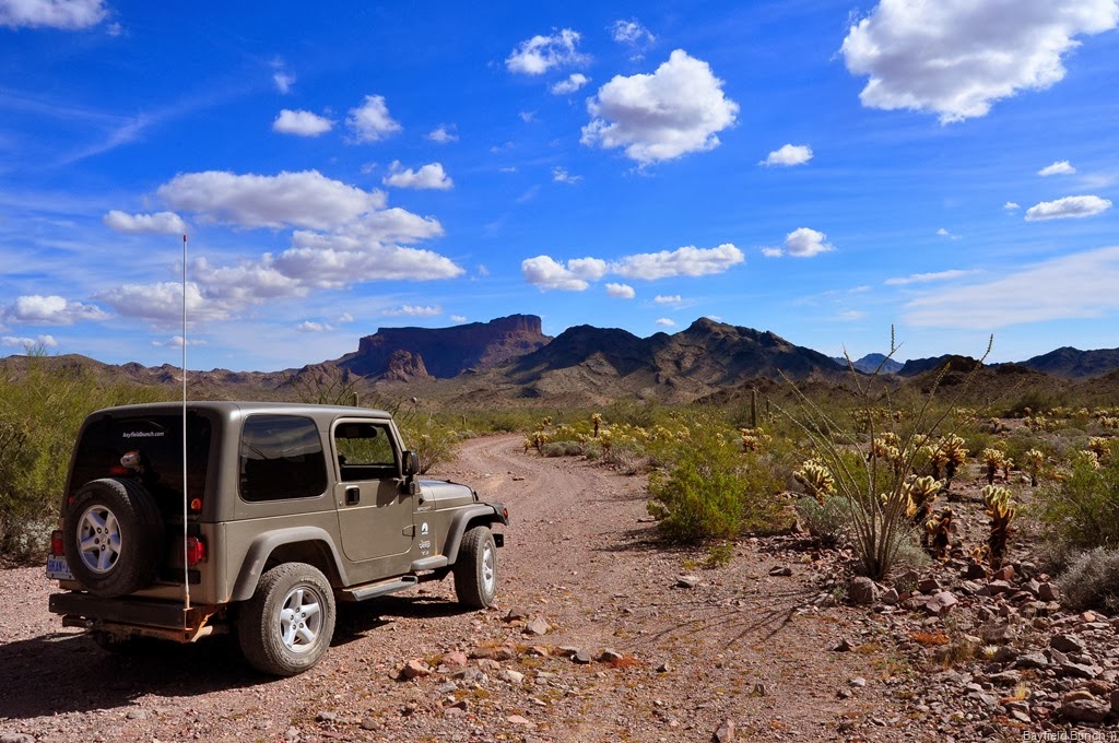 [DSC_0119%255B4%255D.jpg]