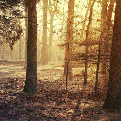 Hd-143243-ascw143243