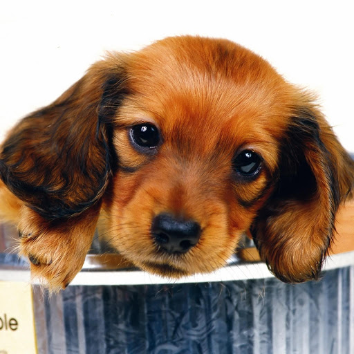 Hd-168399-ascw168399