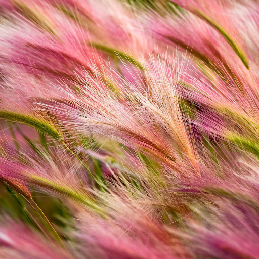 Hd-155763-ascw155763