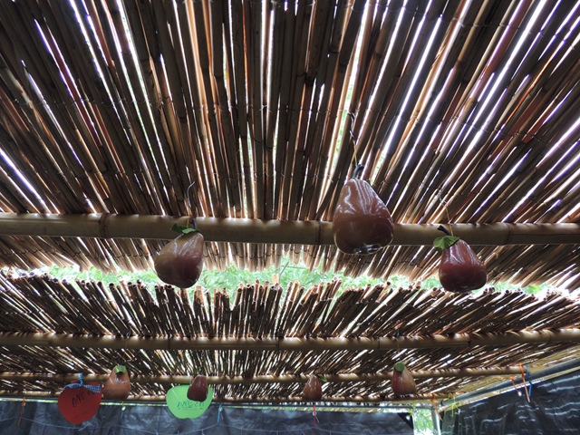 [DSCN0370%255B3%255D.jpg]