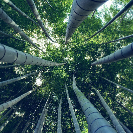 Hd-151772-ascw151772