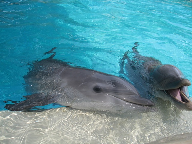 [IMG_7636%255B2%255D.jpg]