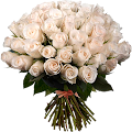 flor%25203.png