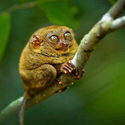 Hd-166367-ascw166367