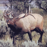 Mis imágenes antiguas 023.jpg