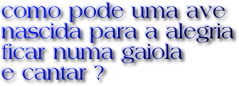 gaiola.png