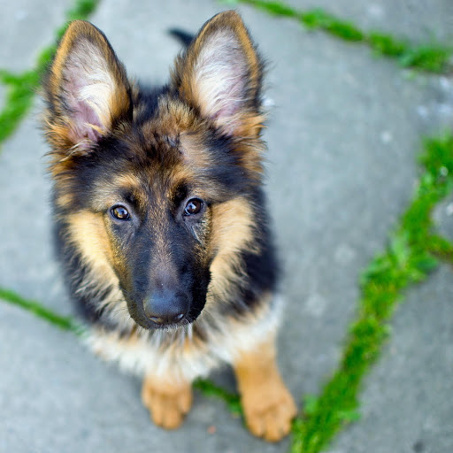 Hd-162652-ascw162652