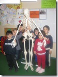 ο σκελετός του σώματος (2)