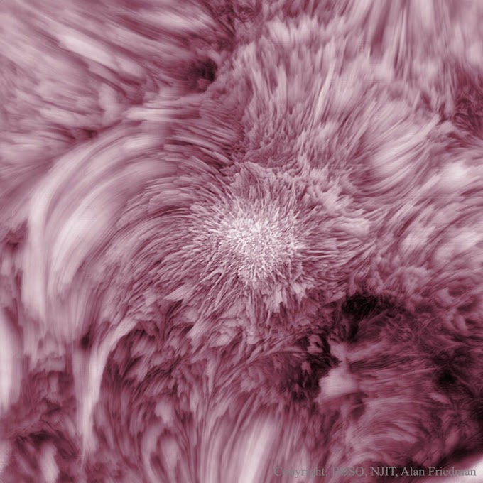 A flower view of sun from nasa.