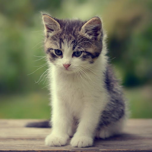 Hd-177639-ascw177639