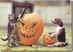 sn_halloween sn_halloween