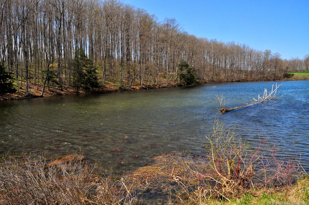 [DSC_0010%255B4%255D.jpg]