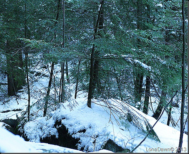 CF2_Jan42013 CF2_Jan42013