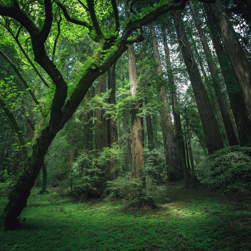 Hd-132193-ascw132193