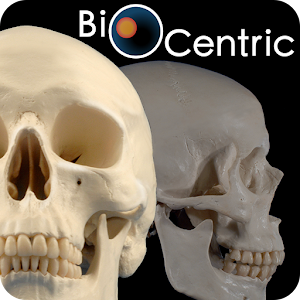 OpenLab.bones logo