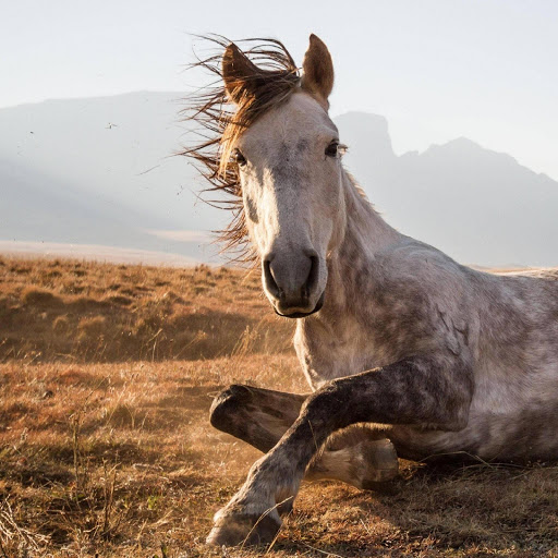 Hd-183974-ascw183974