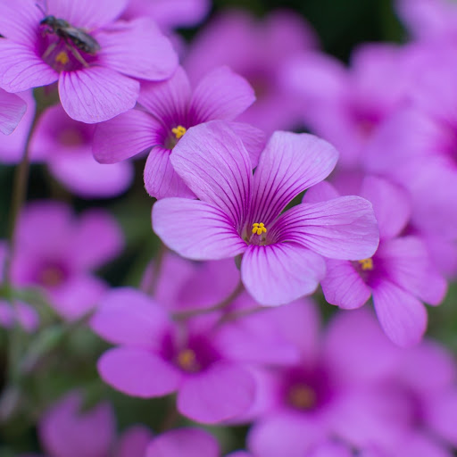 Hd-166975-ascw166975