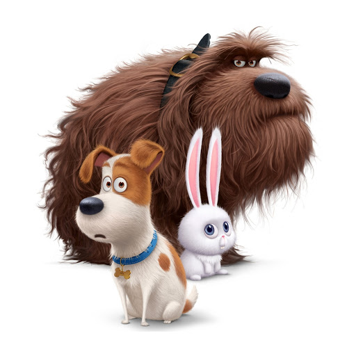 Hd-185263-ascw185263