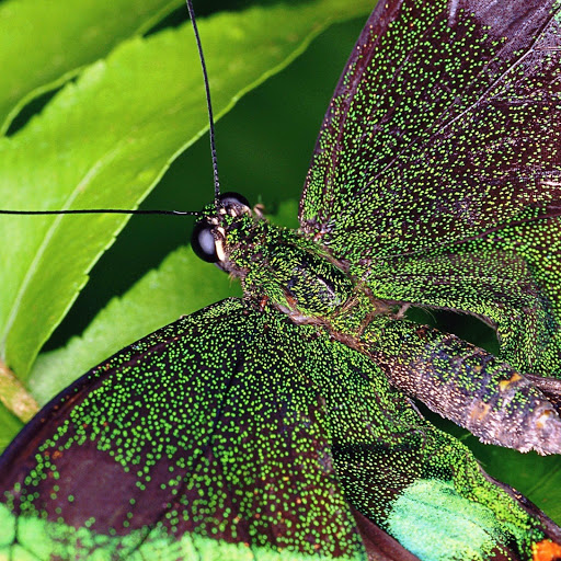 Hd-174920-ascw174920