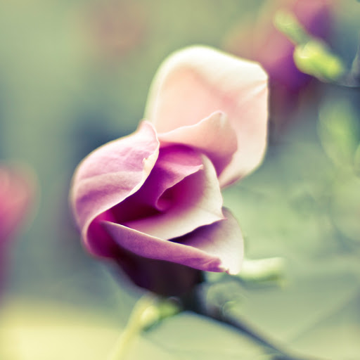 Hd-186366-ascw186366