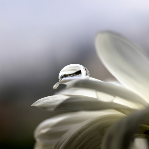 Hd-164008-ascw164008