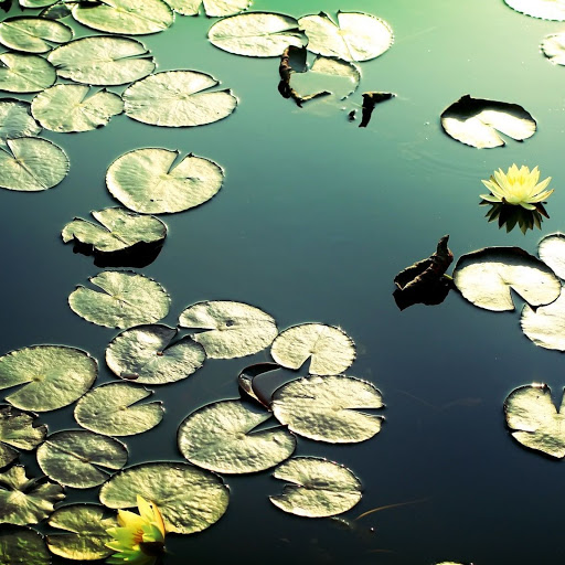 Hd-149767-ascw149767