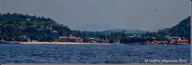 DSC_0546 DSC_0546