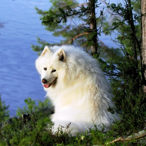 Hd-150434-ascw150434