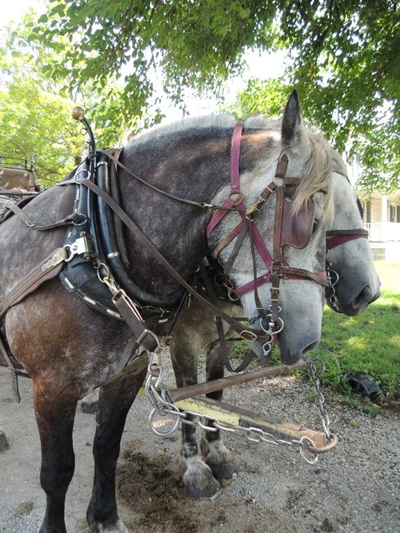 [DSCN6012%255B3%255D.jpg]