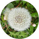 E.R.A. profile picture