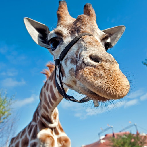 Hd-166692-ascw166692