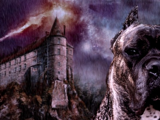 [0001r29y-600x450%255B4%255D.jpg]