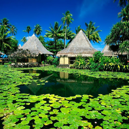 Hd-169904-ascw169904