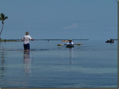 kayaking around sunshine key, looking for paddle
