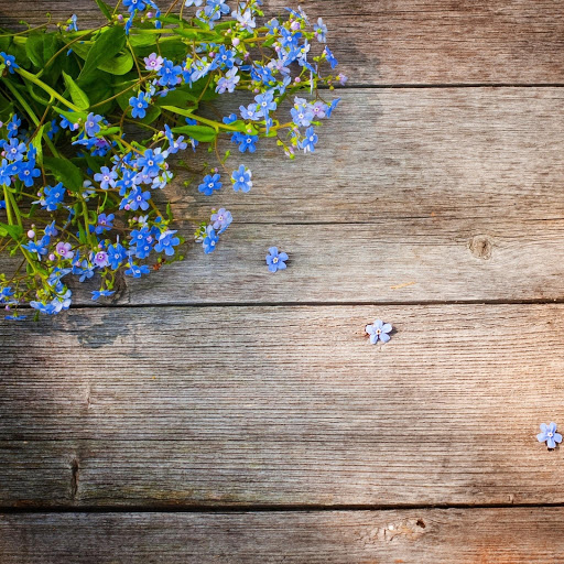 Hd-156709-ascw156709