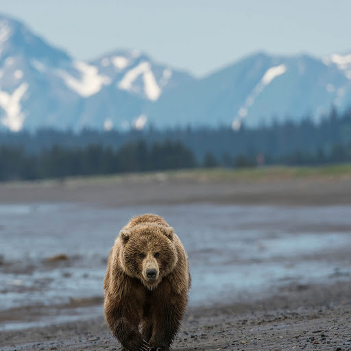 Hd-180377-ascw180377