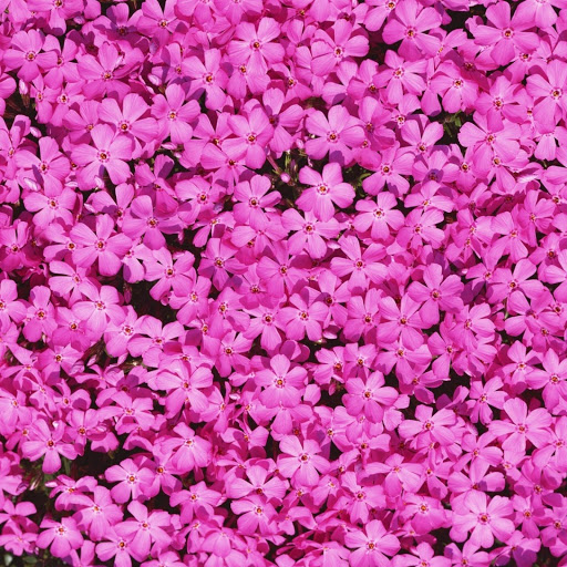 Hd-148282-ascw148282