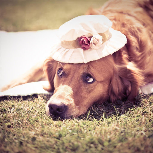 Hd-174044-ascw174044