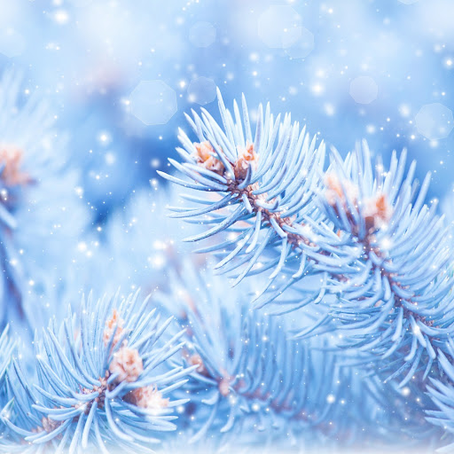 Hd-171402-ascw171402