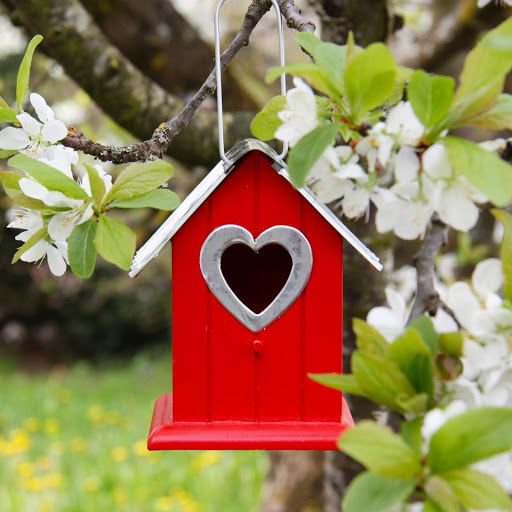 Hd-131447-ascw131447