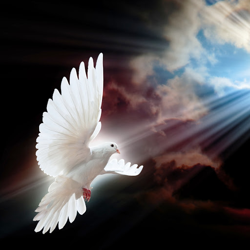 Hd-145883-ascw145883