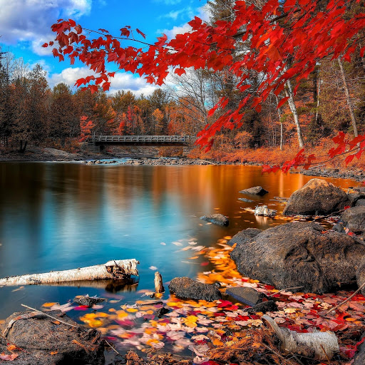 Hd-173529-ascw173529