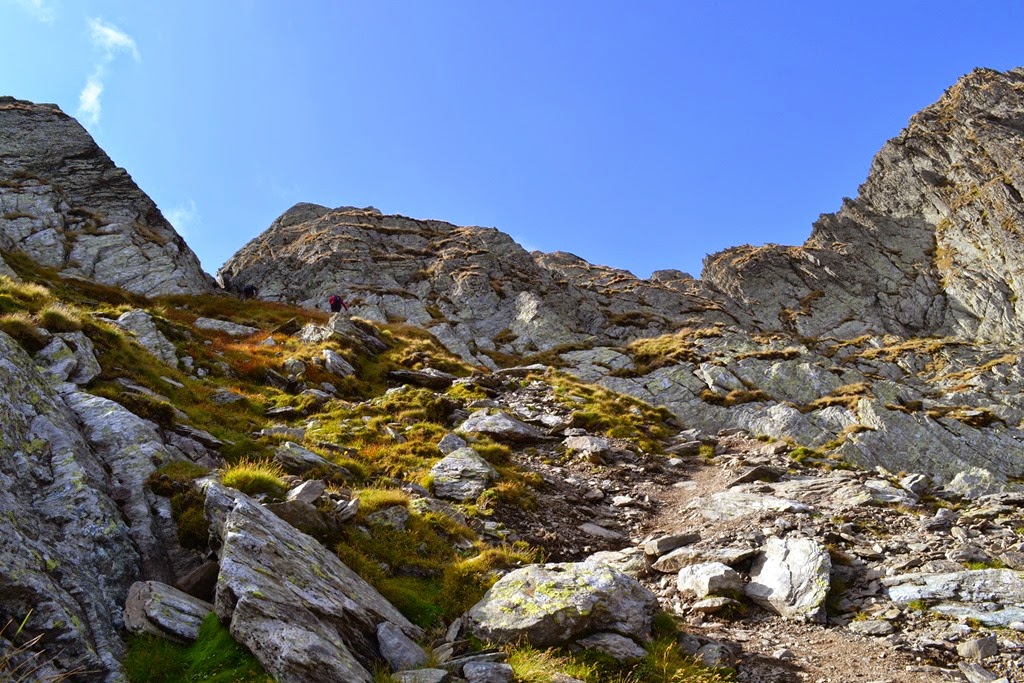 [DSC_03733.jpg]