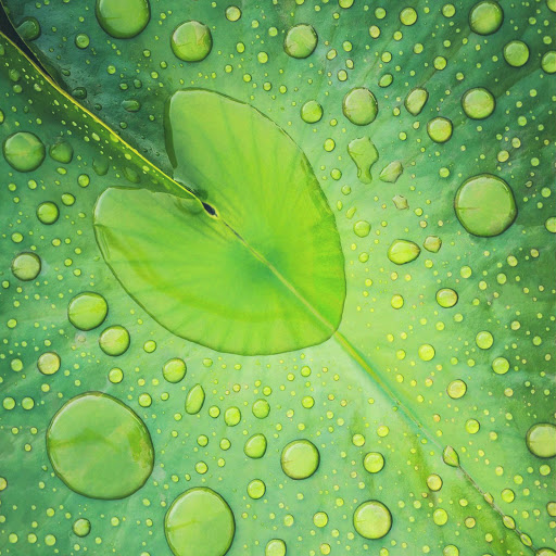 Hd-161327-ascw161327